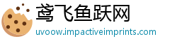 鸢飞鱼跃网